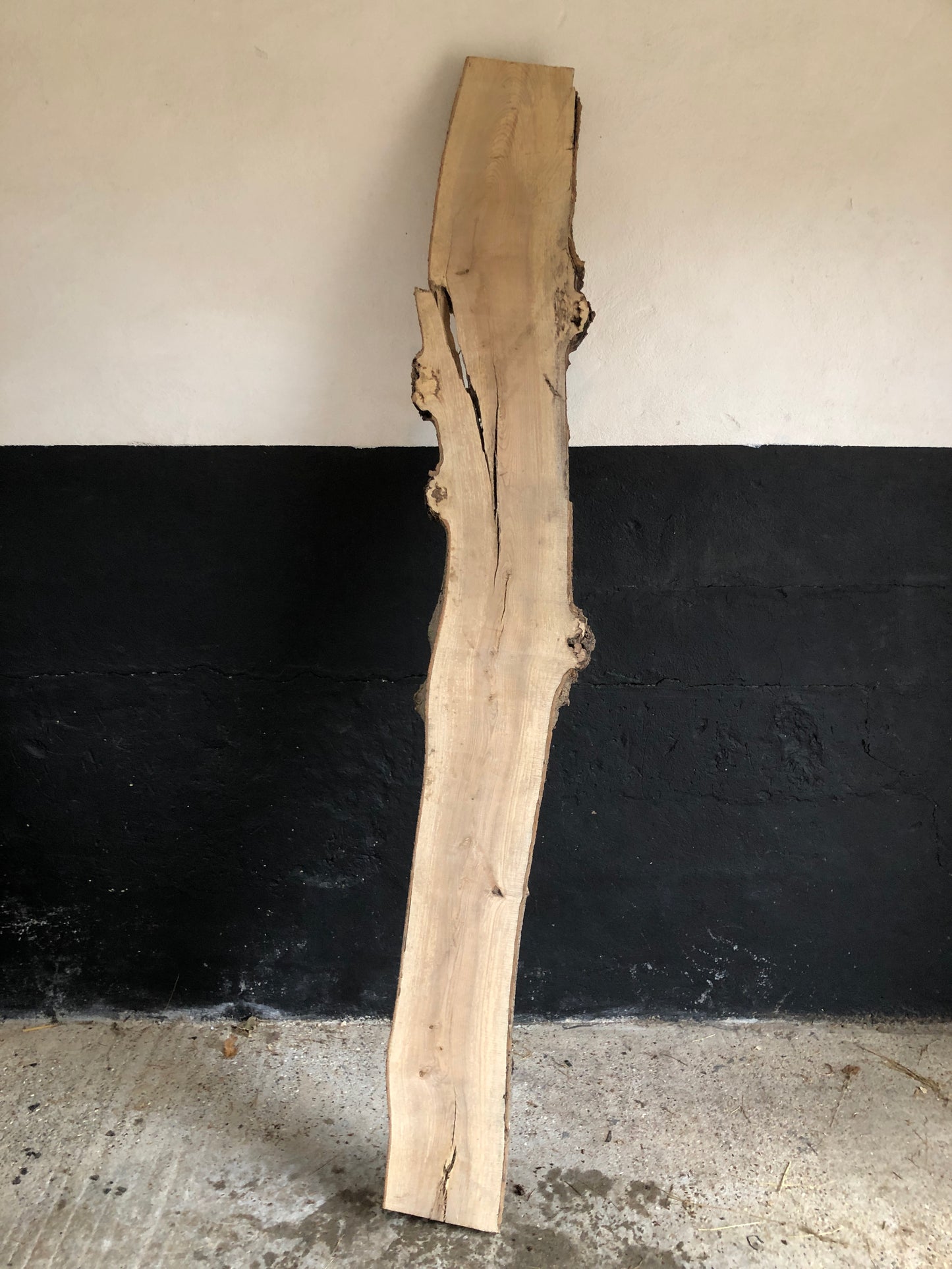 2.25m slab / board of English Ash. Item A4.