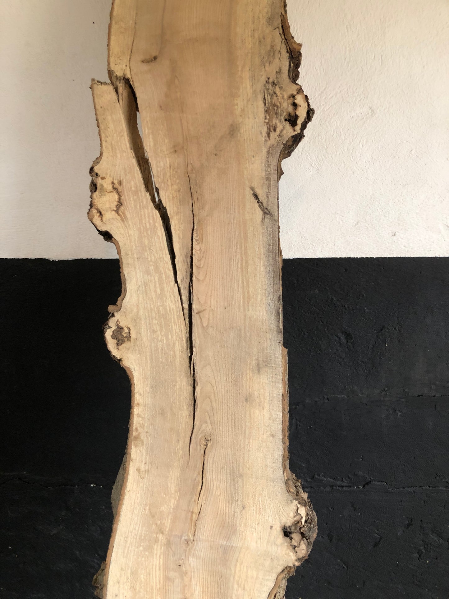 2.25m slab / board of English Ash. Item A4.