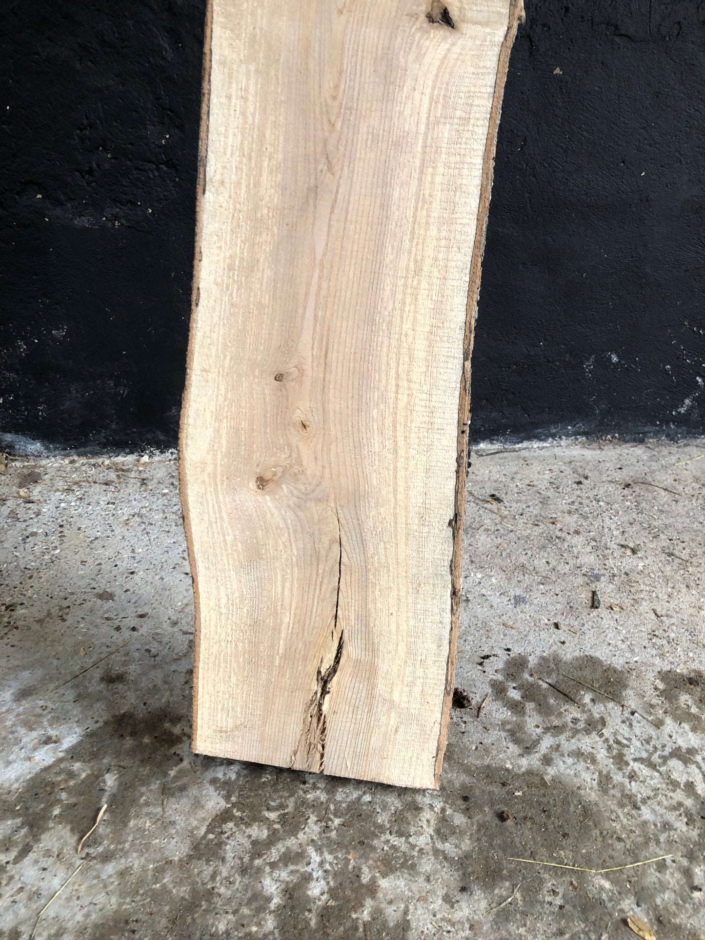 2.25m slab / board of English Ash. Item A4.